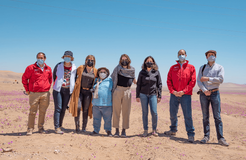 FICH en desierto florido