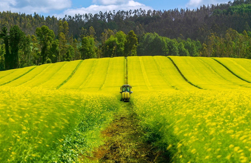 Tecnologia en la agricultura