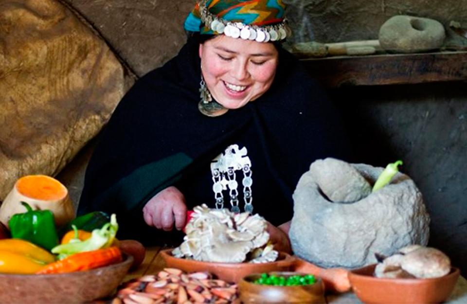 alimentación y comida de los Mapuches