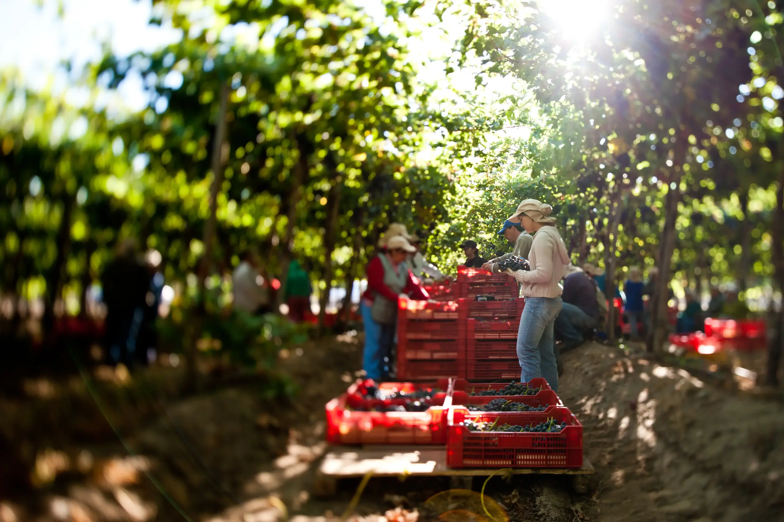 Crecimiento-bienes- exportados-Chile-2024