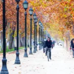 Chile destaca en rankings 2024