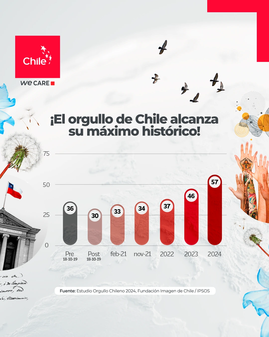 banner grilla orgullo chileno