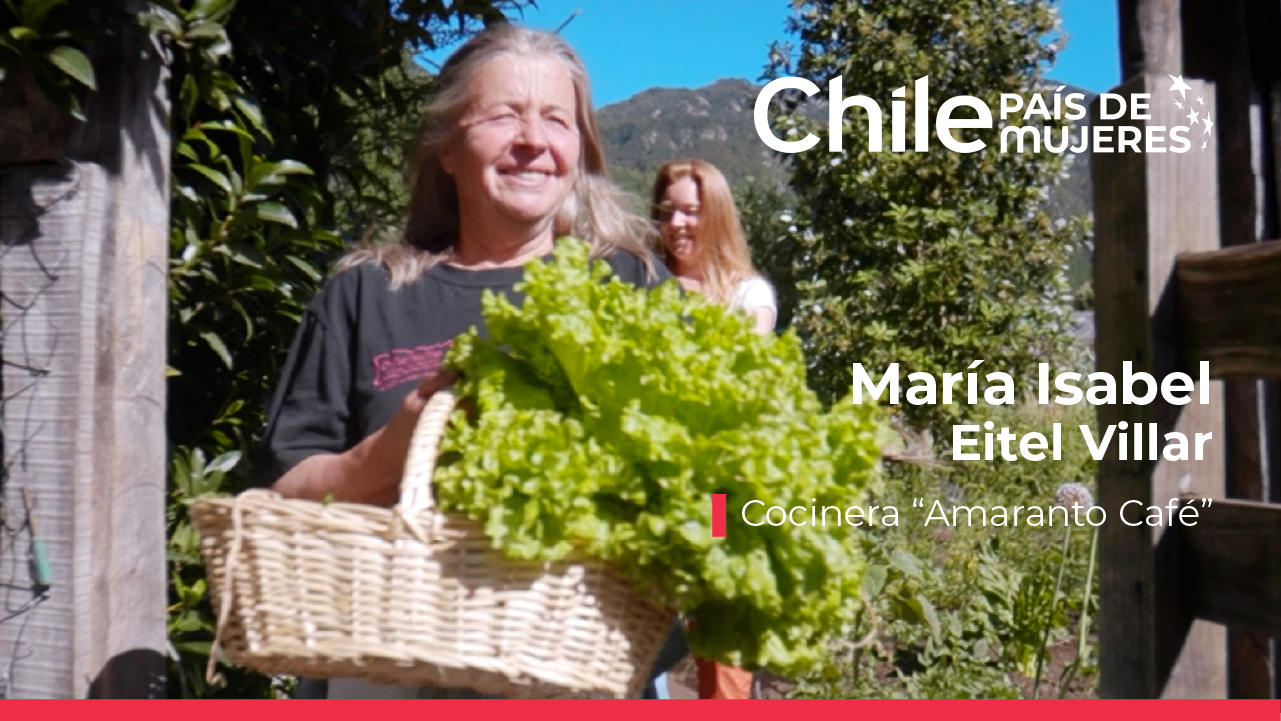 Campaña Chile, País de Mujeres 2