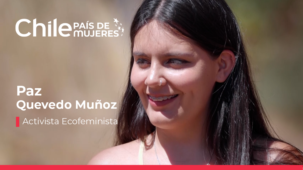Campaña Chile, País de Mujeres 2