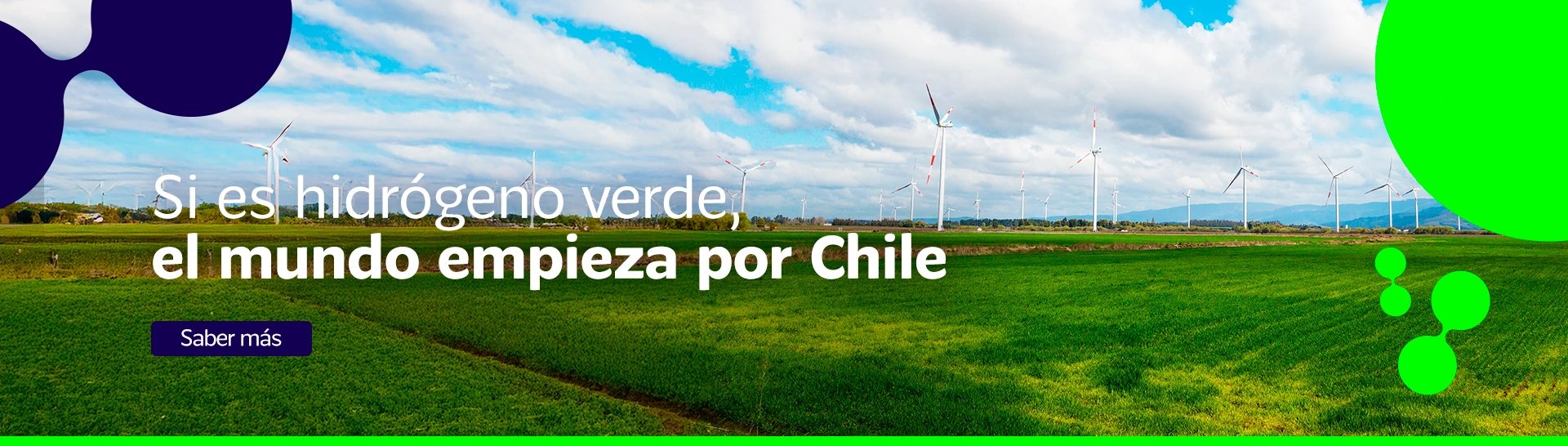 Marca Chile