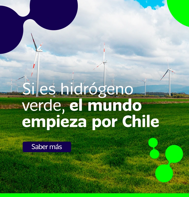 Marca Chile