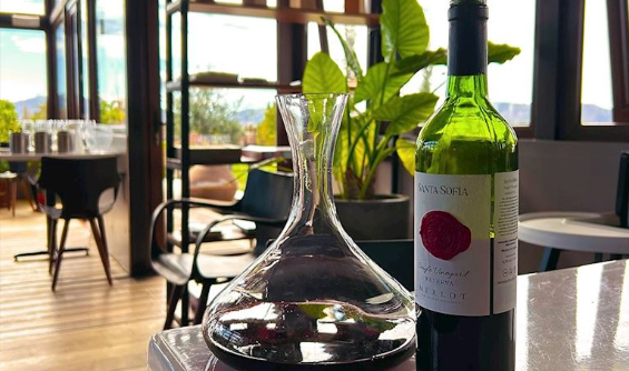Vino chileno para Fiestas Patrias: cómo maridar y disfrutar en el 18